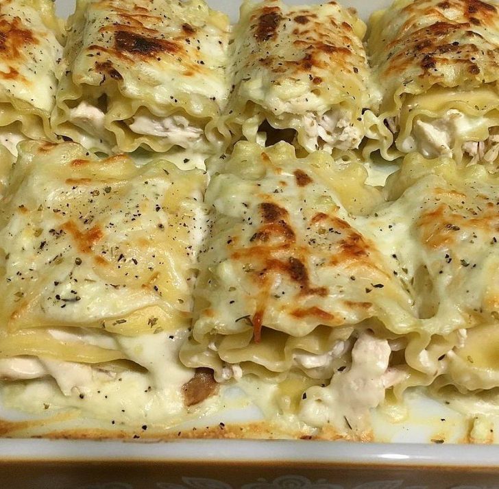 Chicken Alfredo Lasagna RollUps Skinny Daily Recipes